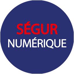 Ségur Numérique