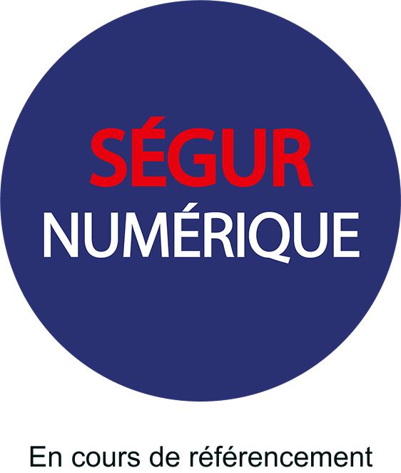 Ségur Numérique