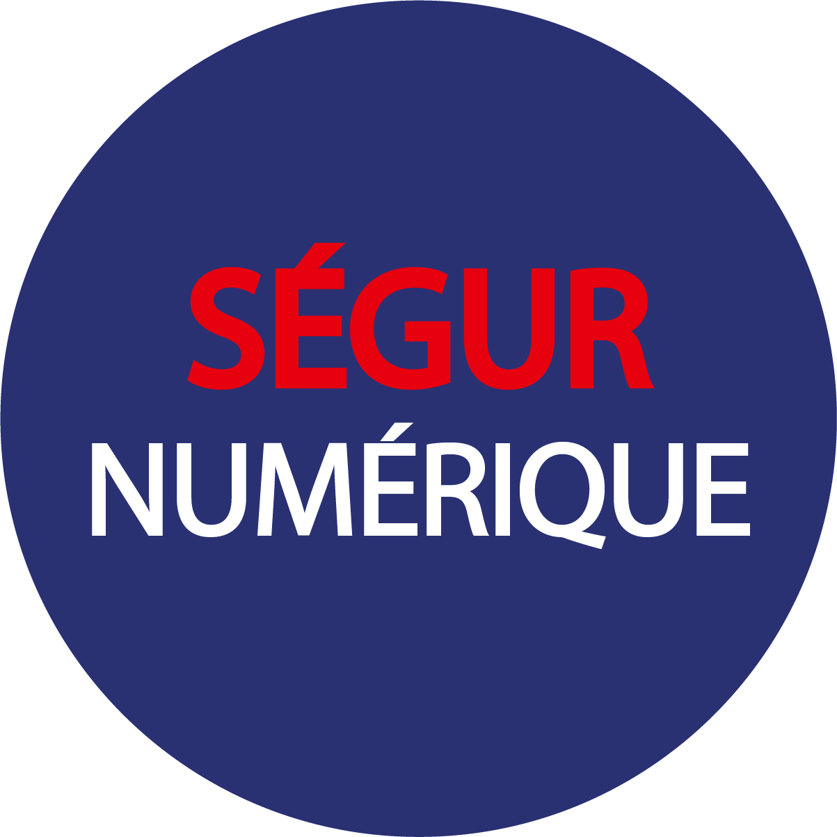 logo-Segur-Numerique